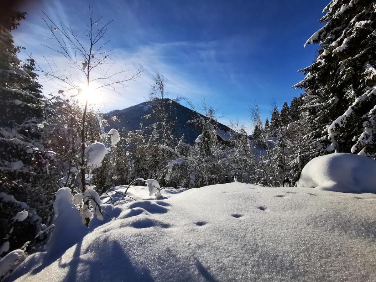 Chalet Caprea Bad Kleinkirchheim Eksteriør billede
