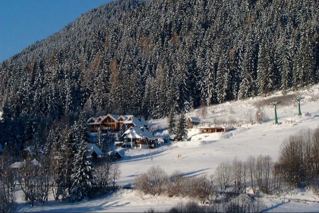 Chalet Caprea Bad Kleinkirchheim Eksteriør billede